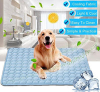 Pet Supplies