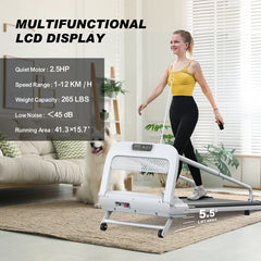 Sturdy Smart Pet Treadmill, Adjustable Speed, Perfect For Small to Medium Dogs