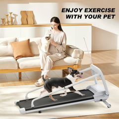 Sturdy Smart Pet Treadmill, Adjustable Speed, Perfect For Small to Medium Dogs